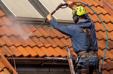Démoussage et hydrofuge de toiture à Argis